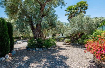 Nuestra Finca Rural Orgiva by Ruralidays - Photo 42