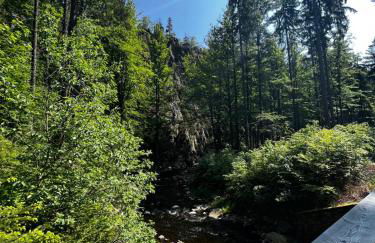 Ferienwohnung Pobershau - Foto 12