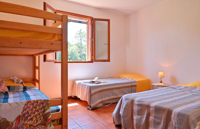 Pinea Mare - Foto 31