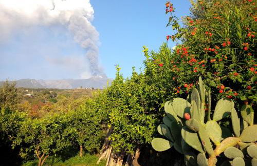 Le Case Di Bacco - Foto 63