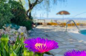 Seraphina Bookings Mojacar - Foto 43