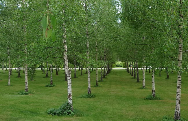 4 Star Holiday Home in Enskede-by Traum - Foto 17