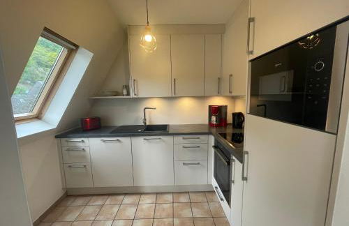 FEWO Hühnerberg Weingut C.A. Haussmann - Foto 2