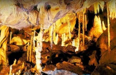 UplandParcs Haus Bergsicht - Photo 52