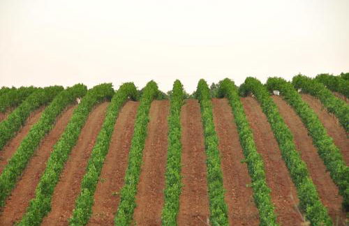 Agriturismo Al Poggetto - Foto 62