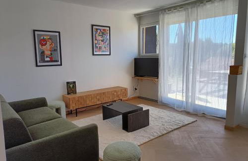 Appartement en RC au bord du lac - Foto 1