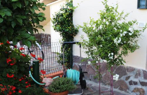 LIGURIA home - Foto 39