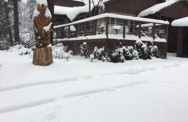 Uncle Grizz's Cabin...get intouch with nature - Foto 30