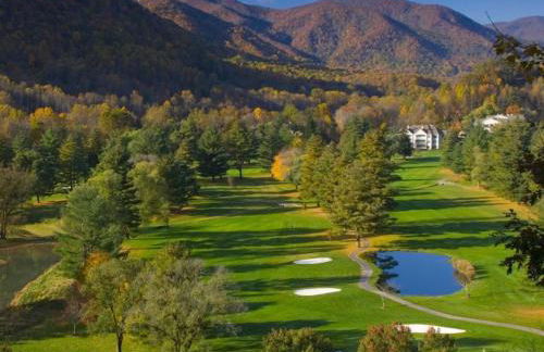 Maggie Valley 4BR Cabin with Hot Tub in Serene Forest - Foto 35