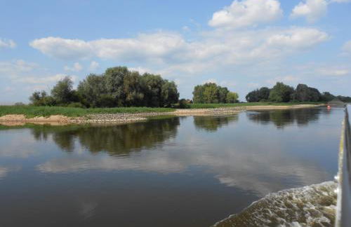 Ferienwohnung Elbe Diek - Foto 13