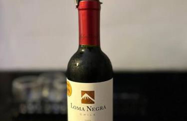 Chalé Container - Luxo Rústico - Foto 57