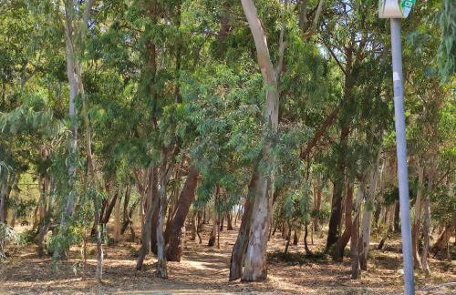 Antonio's villa al mare con vista sull'Etna Vaccarizzo Catania - Foto 38