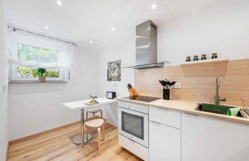 Neu mit Terrasse! 2BR 4Beds- schönste Aussicht - frisch saniert- barrierefreie! -Mozart ZWEI - Bietigheim - Foto 7