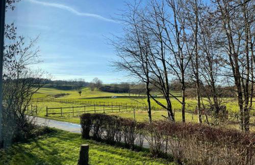 Mühlenhof am Pferdestall - Foto 5