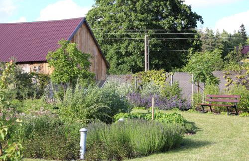 U Aptekarzy - Foto 37