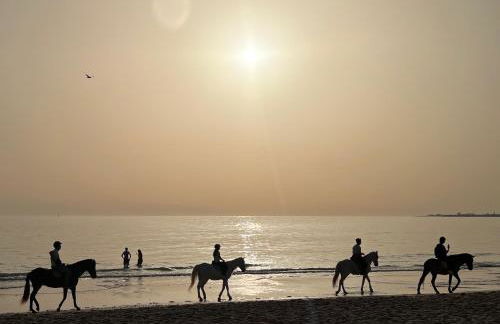 La Terraza de Porvenir 10 - Jerez de la Frontera - Foto 49