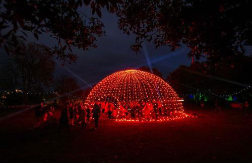 OG Stays IV- Free Parking, Free Wifi, Near Nissan & Stadium - Foto 23