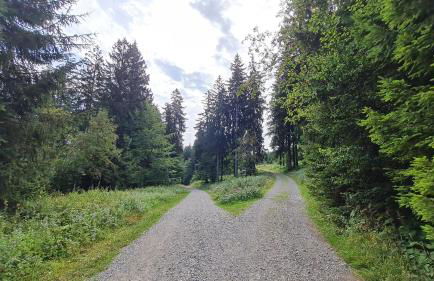 AMW Ferienwohnungen - Foto 52