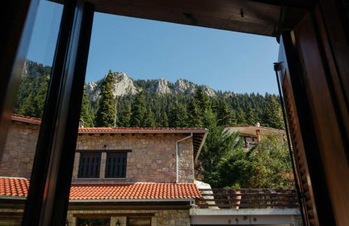 Τα Πέτρινα της Ελάτης - Petrina Elatis - Foto 65