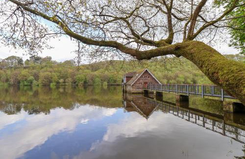 Lady Of The Lake - Foto 51