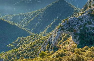 Le Petit Delphia - Photo 50