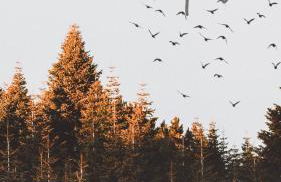 Villa Laas Oberwiesenthal - Foto 59