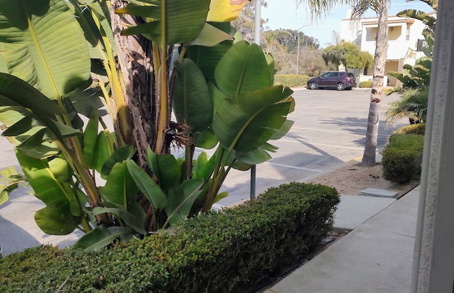 Pacific Plaza Resort - Foto 20