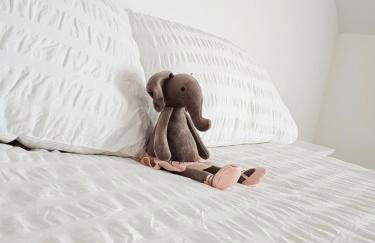 New traditional village house - Foto 25