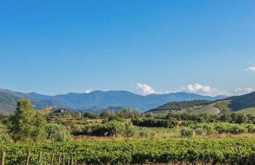 Ma Vie Là - Foto 23