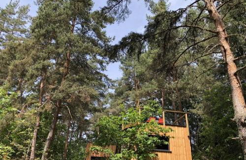 Holiday home under the trees - Photo 39