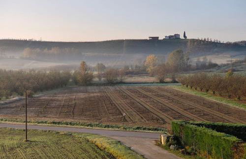 Casa Emy da Teresina - Photo 28