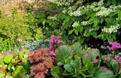 Ferienhaus No 11 in der Altstadt 160 qm 5 Pers - Photo 42