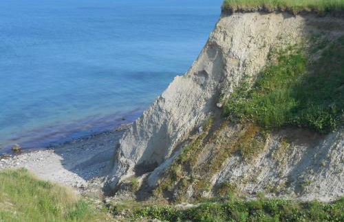 Ferienhaus Waldidyll - Erholung zwischen Schlei und Ostsee - Foto 9