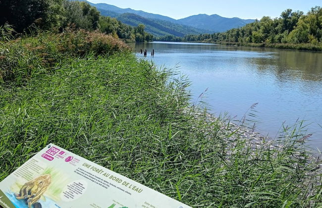 Hotel du Lac - Foto 16