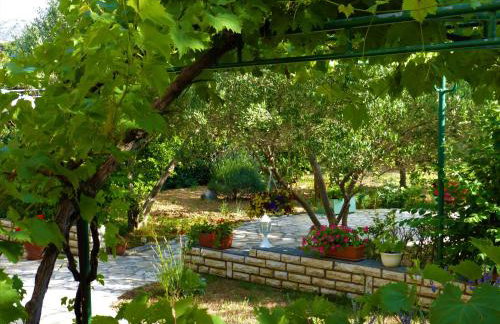 Apartmani Milena - Foto 50