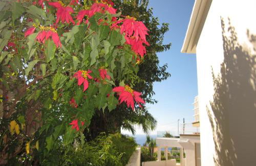 Villa Hansen in Garajau - Cristo Rei - Foto 13