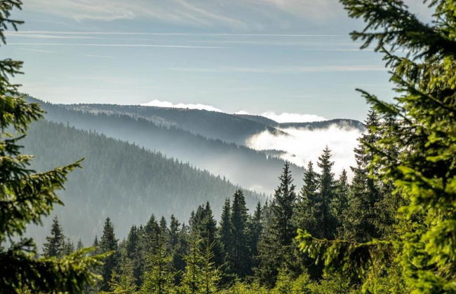 Unique Renovated Bakery in Landhouse - Foto 40