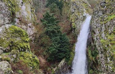 zélu apartamento centro da Guarda - Foto 28