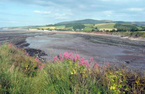 Wristland Court, Watchet - Photo 15