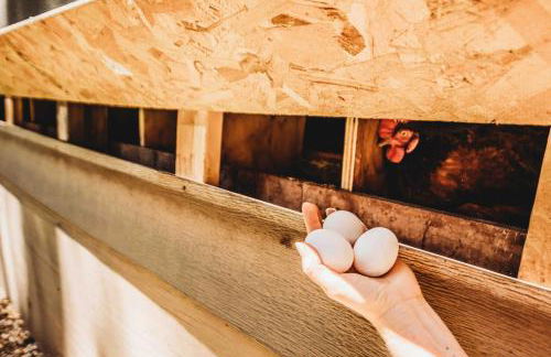 Lake Ranch - Foto 31