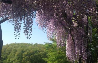 Salceta, a Tuscany Country House - Photo 61