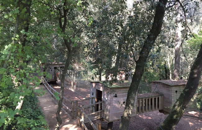 Mas Fuselles - Photo 14