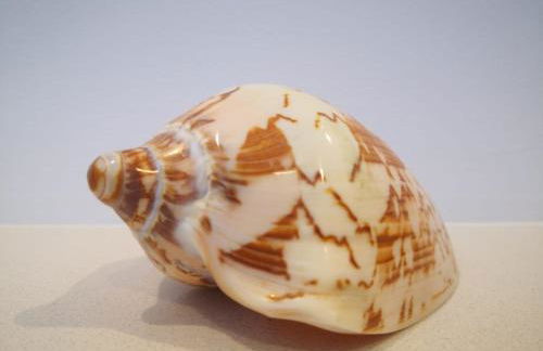 Penthouse Pure South Manilva Sea View - Photo 64