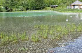 Serrecheholidays - Foto 8