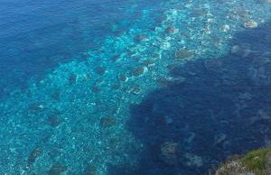 la casa di titti e jack - Foto 51