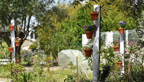 Casa do Avô Ezequiel - Photo 3, Garden view
