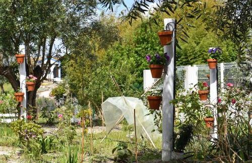 Casa do Avô Ezequiel - Foto 3