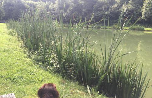 Ferienhaus Egger - Foto 29