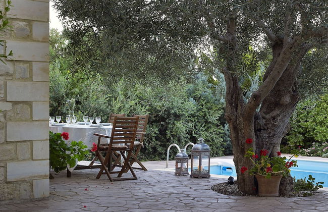 Vederi Estate - Photo 28