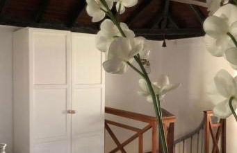 Los Alenes en Flor - Foto 11